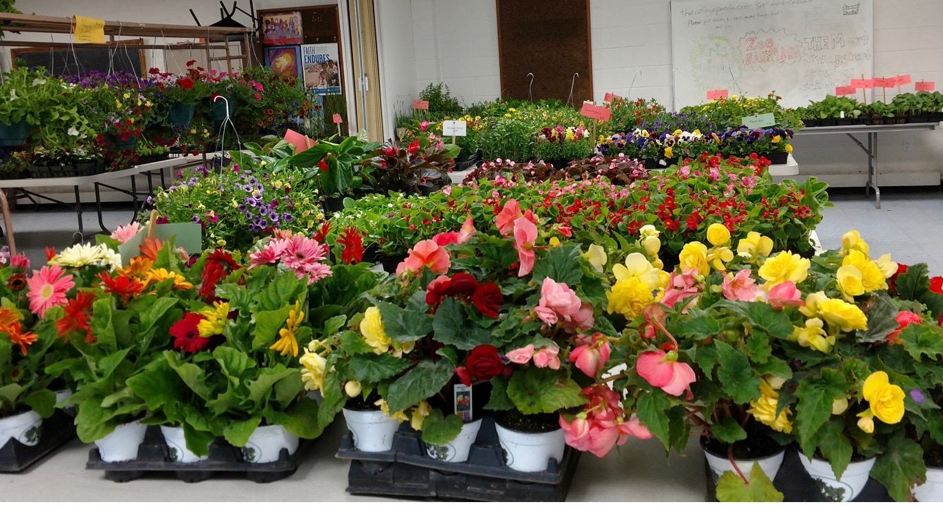 Spiritual WellBeing First Presbyterian Church of Mahopac